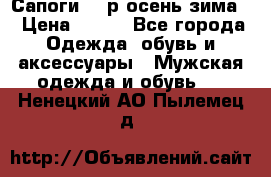 Сапоги 35 р.осень-зима  › Цена ­ 700 - Все города Одежда, обувь и аксессуары » Мужская одежда и обувь   . Ненецкий АО,Пылемец д.